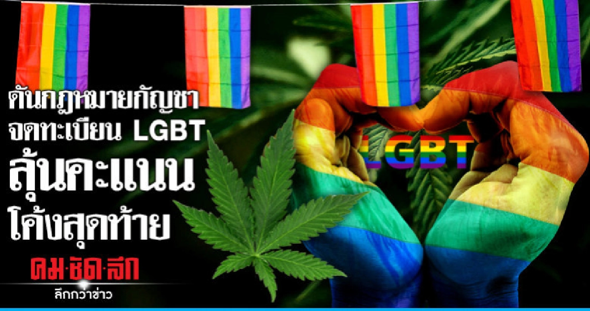 ดันกฎหมายกัญชา-จดทะเบียนLGBTลุ้นคะแนนโค้งสุดท้าย ดันกฎหมายกัญชา-จดทะเบียนLGBTลุ้นคะแนนโค้งสุดท้าย