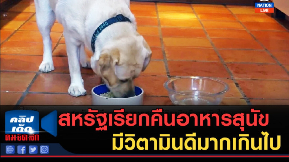 (คลิปข่าว) สหรัฐเรียกคืนอาหารสุนัข มีวิตามินดีมากเกินไป (คลิปข่าว) สหรัฐเรียกคืนอาหารสุนัข มีวิตามินดีมากเกินไป