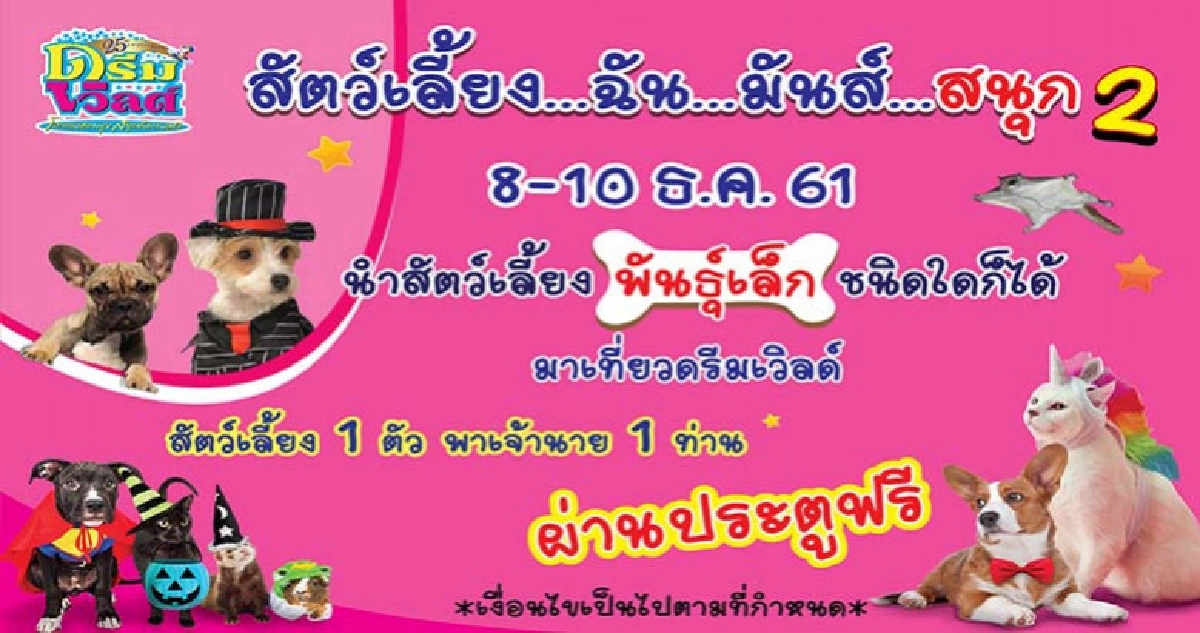 สัตว์เลี้ยงพาเจ้านายลั้ลลาผ่านประตูฟรี8-10ธค.61ที่ดรีมเวิลด์
