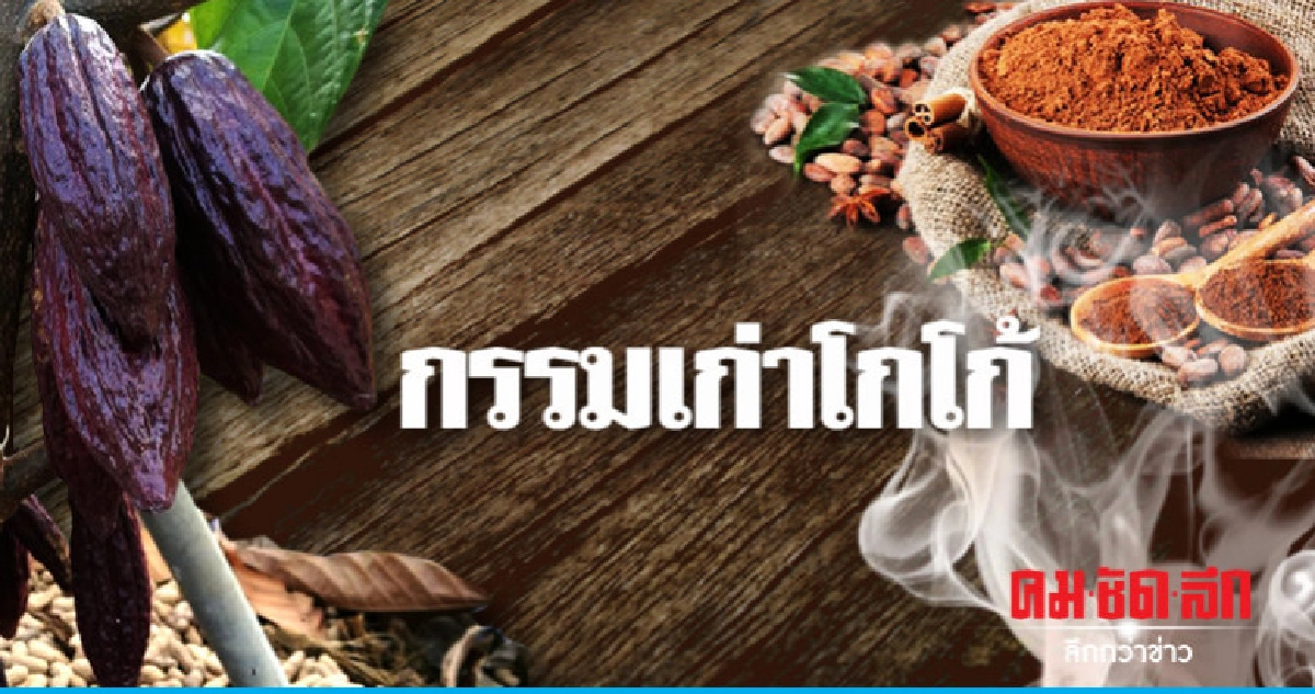 กรรมเก่าโกโก้ กรรมเก่าโกโก้