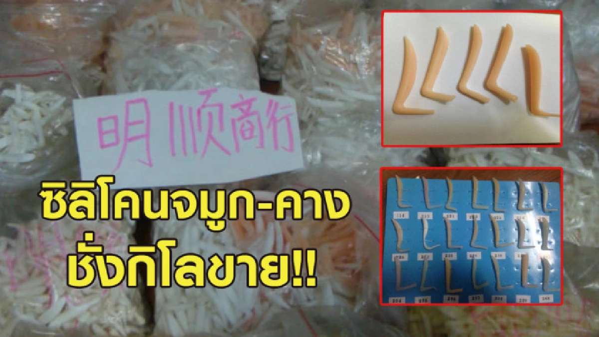 เผยภาพซิลิโคนจมูก-คาง มัดรวมชั่งกิโลขายเกลื่อนเน็ต เผยภาพซิลิโคนจมูก-คาง มัดรวมชั่งกิโลขายเกลื่อนเน็ต