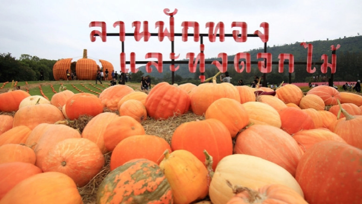เรียนรู้วัฒนธรรมอีสานท่ามกลางธรรมชาติงดงาม