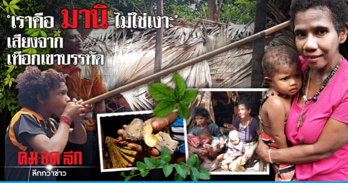 "เราคือ มานิ ไม่ใช่เงาะ"เสียงจากเทือกเขาบรรทัด  