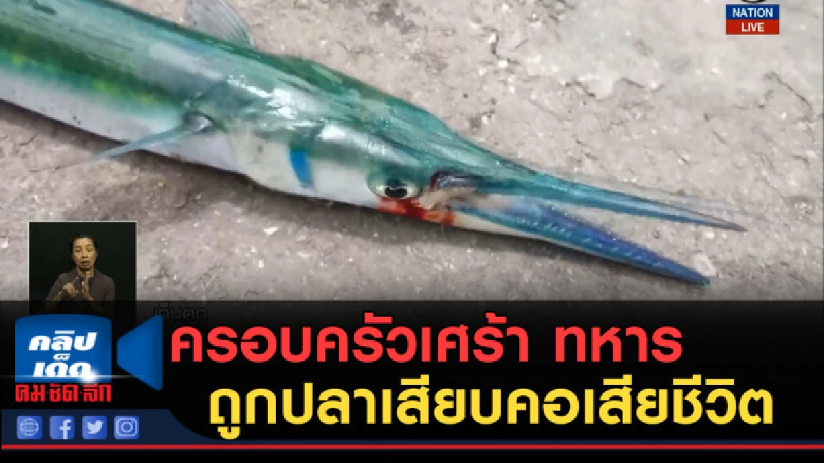 (คลิปข่าว) ครอบครัวเศร้า ทหารถูกปลาเสียบคอเสียชีวิต