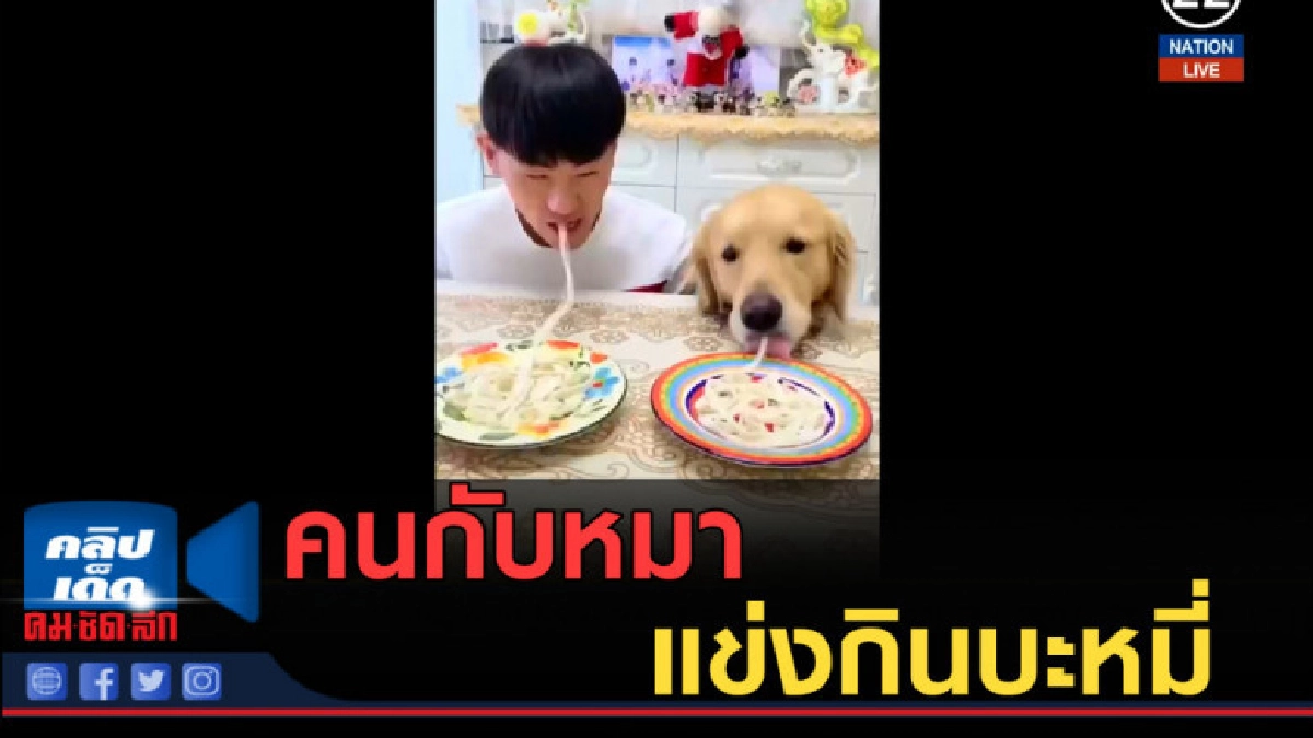 (คลิปข่าว) คนกับหมา แข่งกินบะหมี่ (คลิปข่าว) คนกับหมา แข่งกินบะหมี่