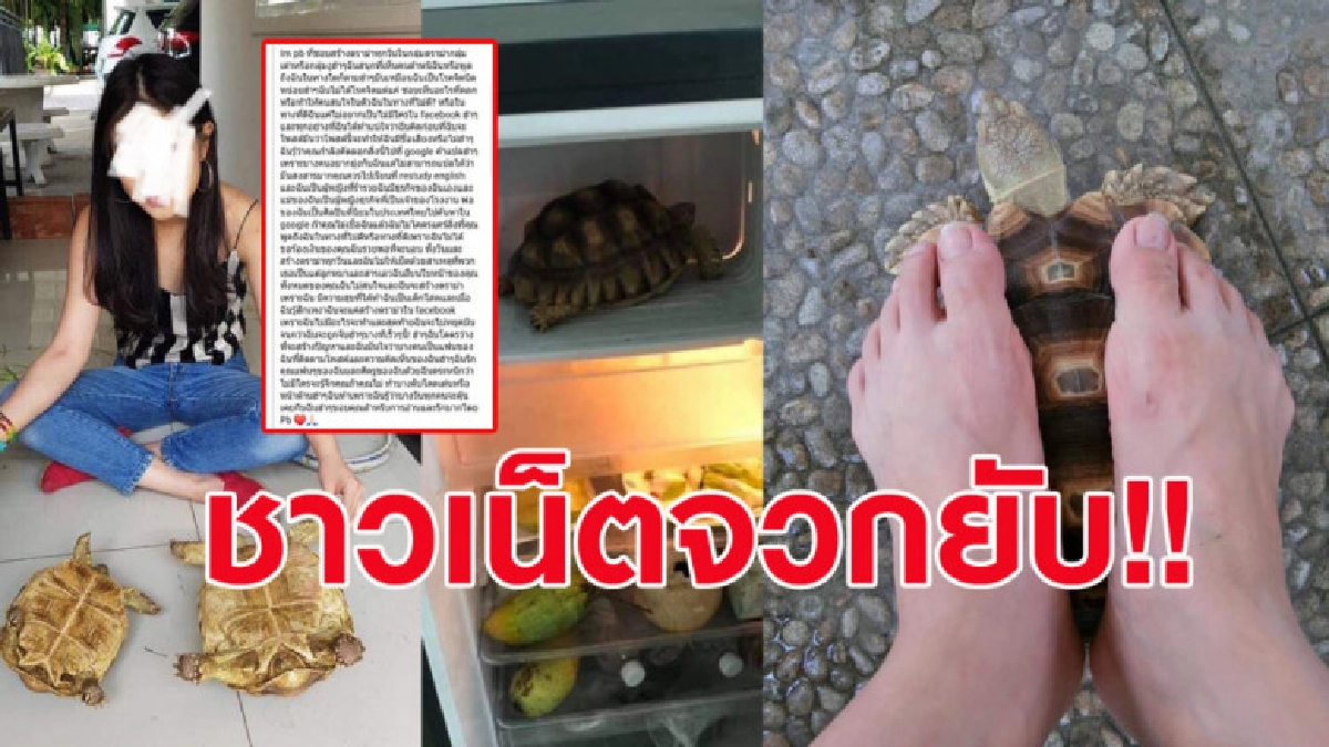 สาวเข้าข่ายทารุณเต่าใช้เท้าเหยียบ-แช่ตู้เย็น แถมโพสต์ชอบใจ สาวเข้าข่ายทารุณเต่าใช้เท้าเหยียบ-แช่ตู้เย็น แถมโพสต์ชอบใจ