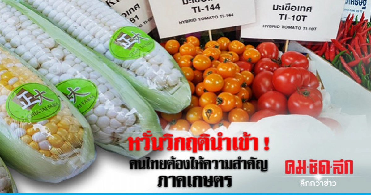 หวั่นวิกฤตินำเข้า ! "เจี๋ยไต๋"ขอคนไทยต่อยอดเกษตร หวั่นวิกฤตินำเข้า ! "เจี๋ยไต๋"ขอคนไทยต่อยอดเกษตร