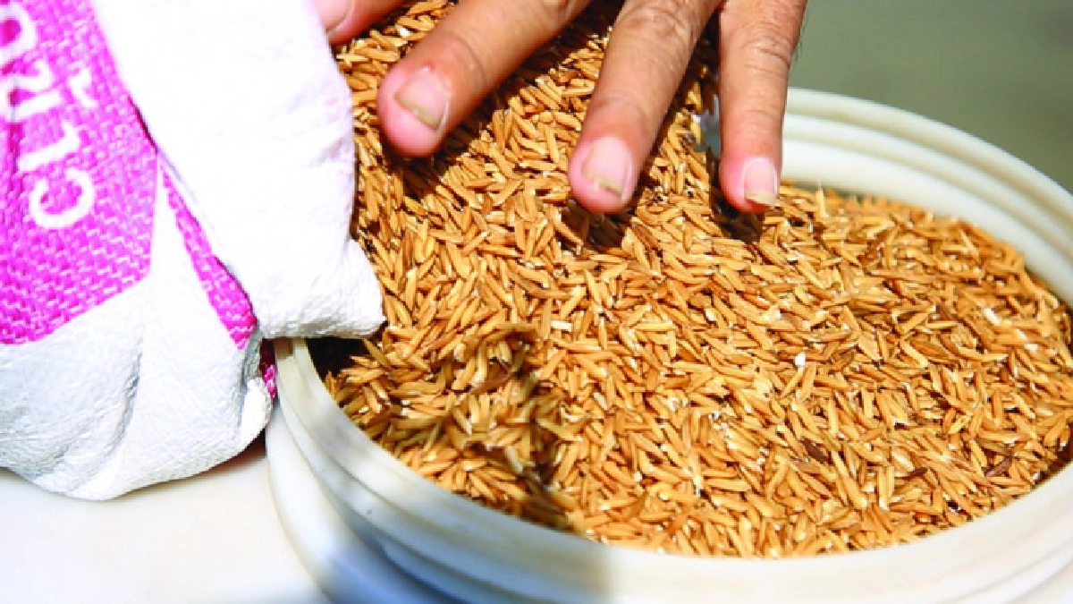 ข้าวปลอดสารพิษเชื่อมโยงตลาดข้าว GAP ครบวงจร จ.ลพบุรี ข้าวปลอดสารพิษเชื่อมโยงตลาดข้าว GAP ครบวงจร จ.ลพบุรี