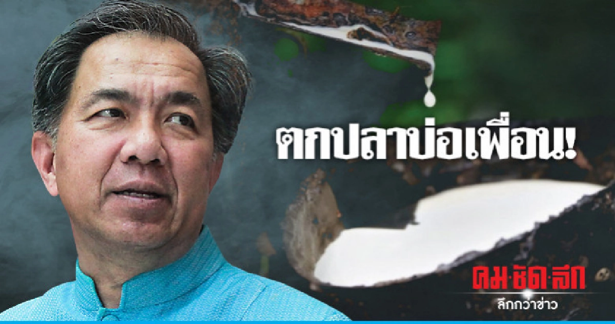 "ปชป."จวกรัฐบาลไม่จริงใจถนนยางพารา