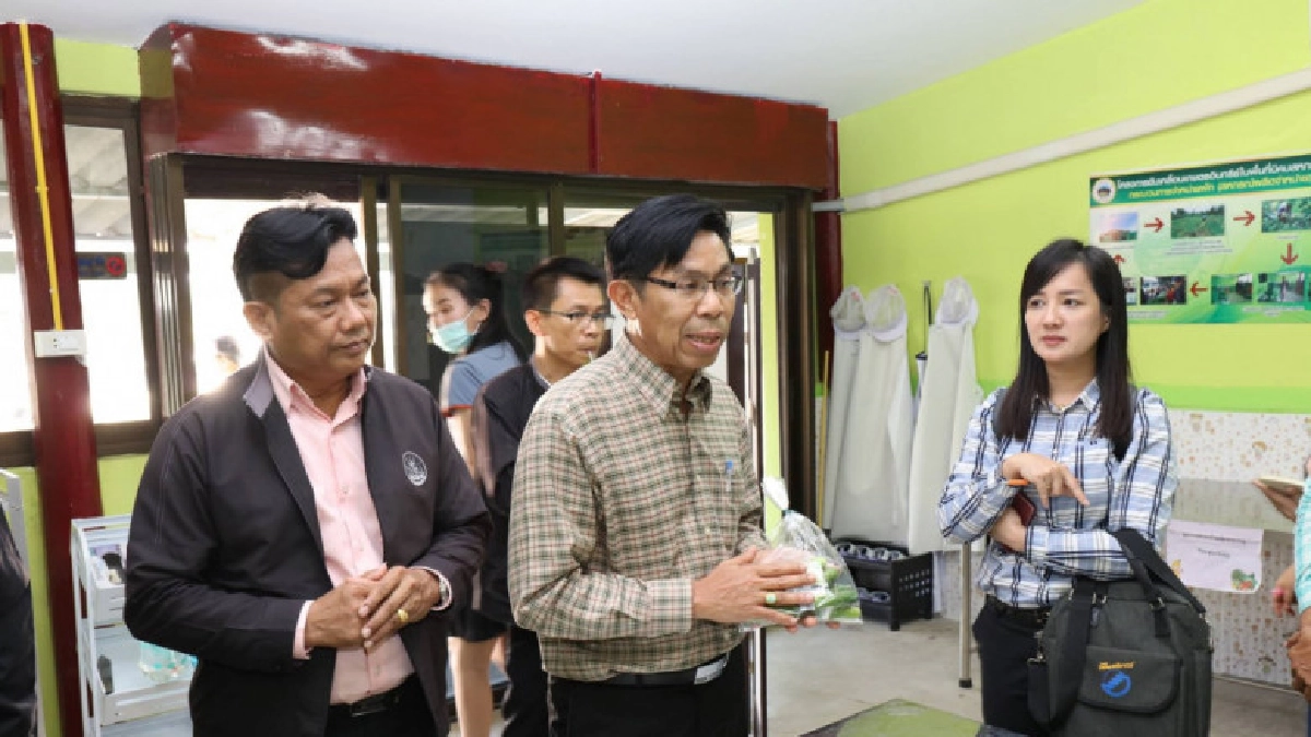 สหกรณ์ชะอำส่งเสริมรวมกลุ่มปลูกผักอินทรีย์ส่งห้างโมเดินเทรด สหกรณ์ชะอำส่งเสริมรวมกลุ่มปลูกผักอินทรีย์ส่งห้างโมเดินเทรด