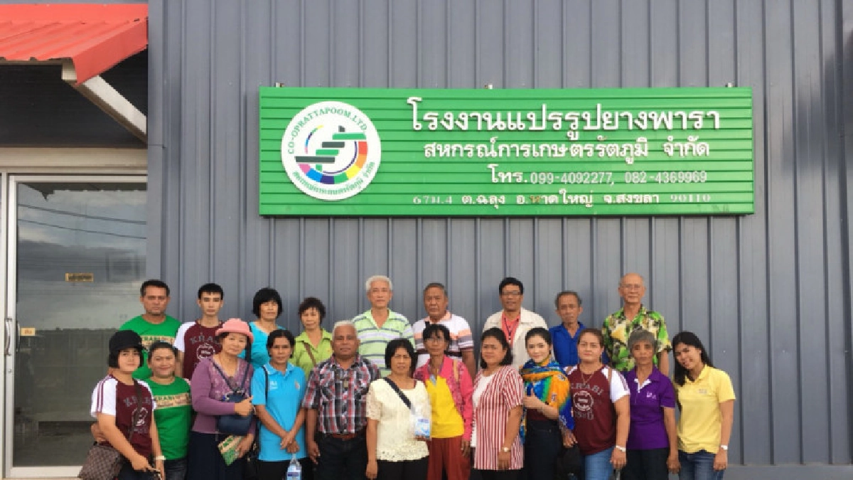 สหกรณ์การเกษตรรัตภูมิ แปรรูปผลิตภัณฑ์ยาง เพิ่มมูลค่าสินค้า 