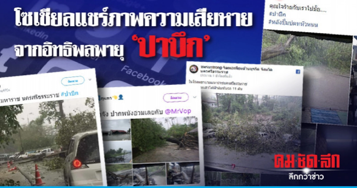 โซเชียลแชร์ภาพความเสียหายจากอิทธิพลพายุ "ปาบึก"