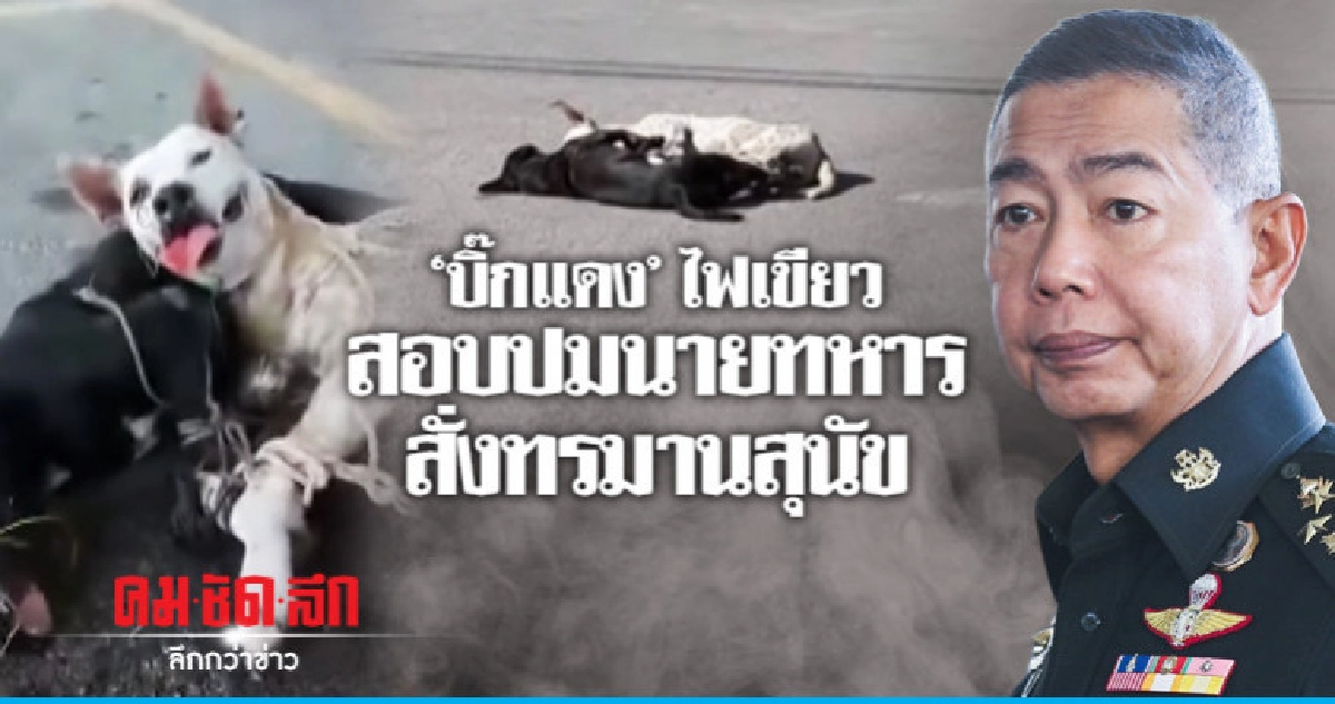  "บิ๊กแดง" ไฟเขียวสอบปมนายทหารสั่งทรมาน"หมา"