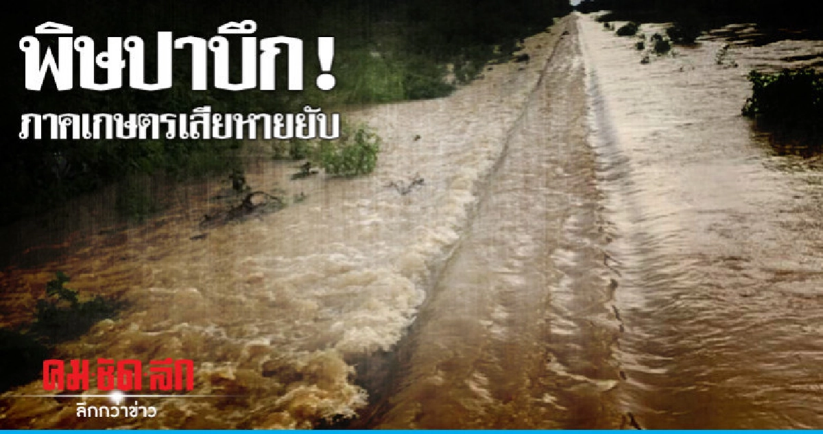 พิษปาบึก ! ภาคเกษตรเสียหายยับ  