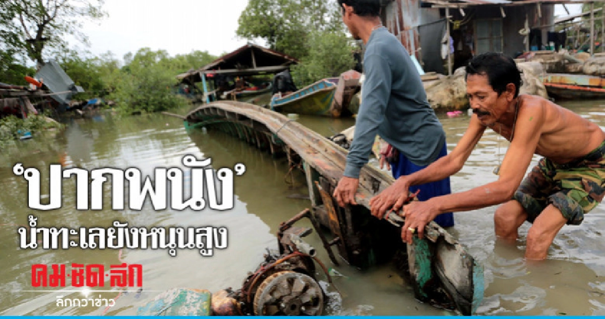 ใต้ปกติ-ปากพนังน้ำทะเลยังหนุน ใต้ปกติ-ปากพนังน้ำทะเลยังหนุน