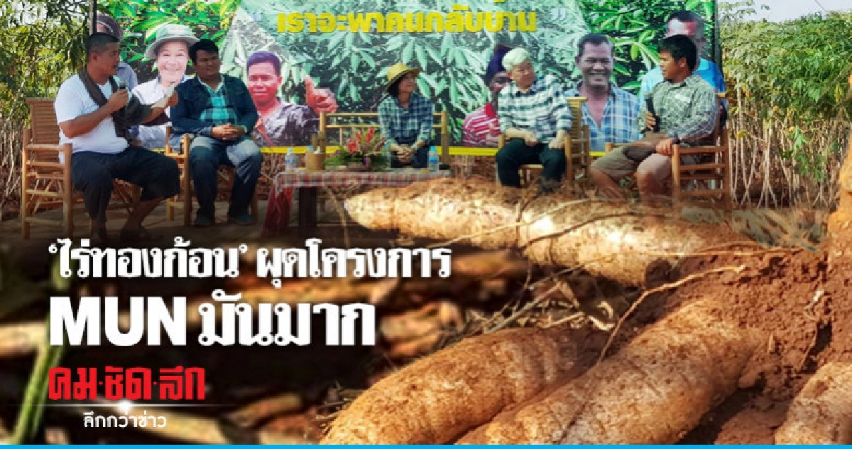 "ไร่ทองก้อน"ผุดโครงการ MUN มันมาก "ไร่ทองก้อน"ผุดโครงการ MUN มันมาก