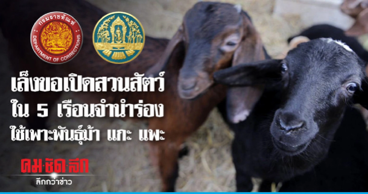 เล็งขอเปิดสวนสัตว์ใน 5 เรือนจำนำร่อง เล็งขอเปิดสวนสัตว์ใน 5 เรือนจำนำร่อง