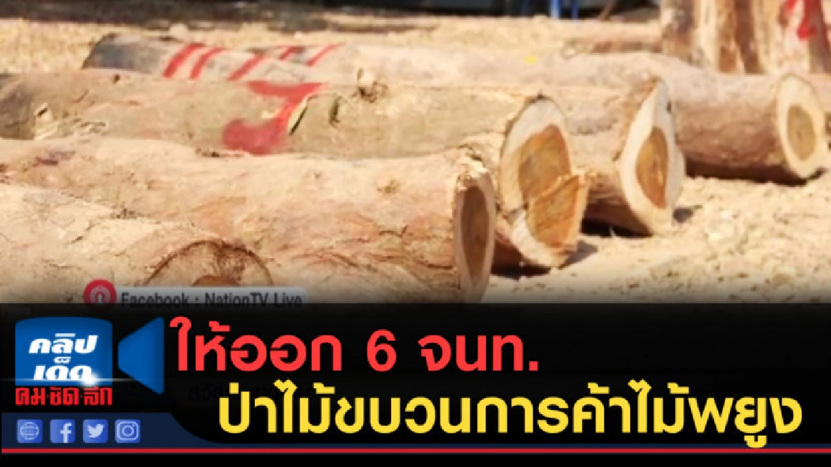 (คลิปข่าว) กรมป่าไม้ให้ออก6จนท.ป่าไม้ขบวนการค้าไม้พยูง (คลิปข่าว) กรมป่าไม้ให้ออก6จนท.ป่าไม้ขบวนการค้าไม้พยูง