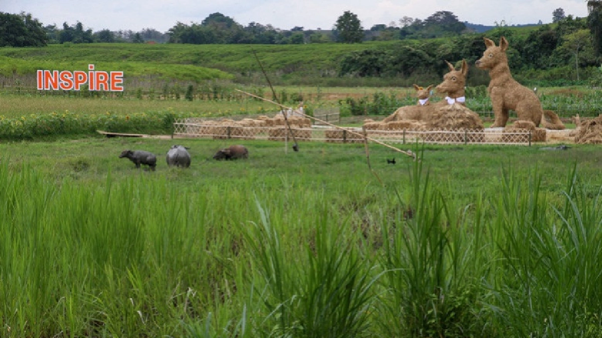 เรือนจำชั่วคราวเราก็เที่ยวได้ เรือนจำชั่วคราวเราก็เที่ยวได้
