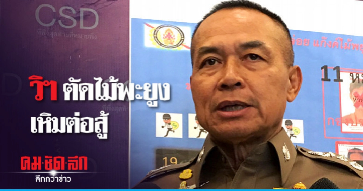 ป. รวบ 9 จาก 10 มอดไม้ลักลอบตัดไม้พะยูง ป. รวบ 9 จาก 10 มอดไม้ลักลอบตัดไม้พะยูง