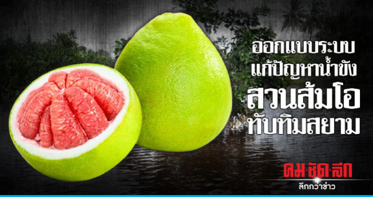 "ออกแบบ"ระบบแก้ปัญหาน้ำขังสวนส้มโอทับทิมสยาม "ออกแบบ"ระบบแก้ปัญหาน้ำขังสวนส้มโอทับทิมสยาม