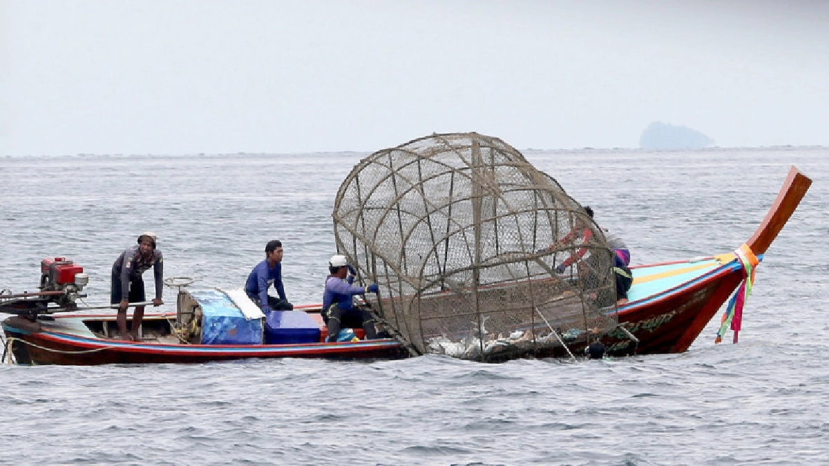 "ประมงพื้นบ้าน"ได้อะไร...? จากการปลดล็อก"ไอยูยู ฟิชชิ่ง" "ประมงพื้นบ้าน"ได้อะไร...? จากการปลดล็อก"ไอยูยู ฟิชชิ่ง"