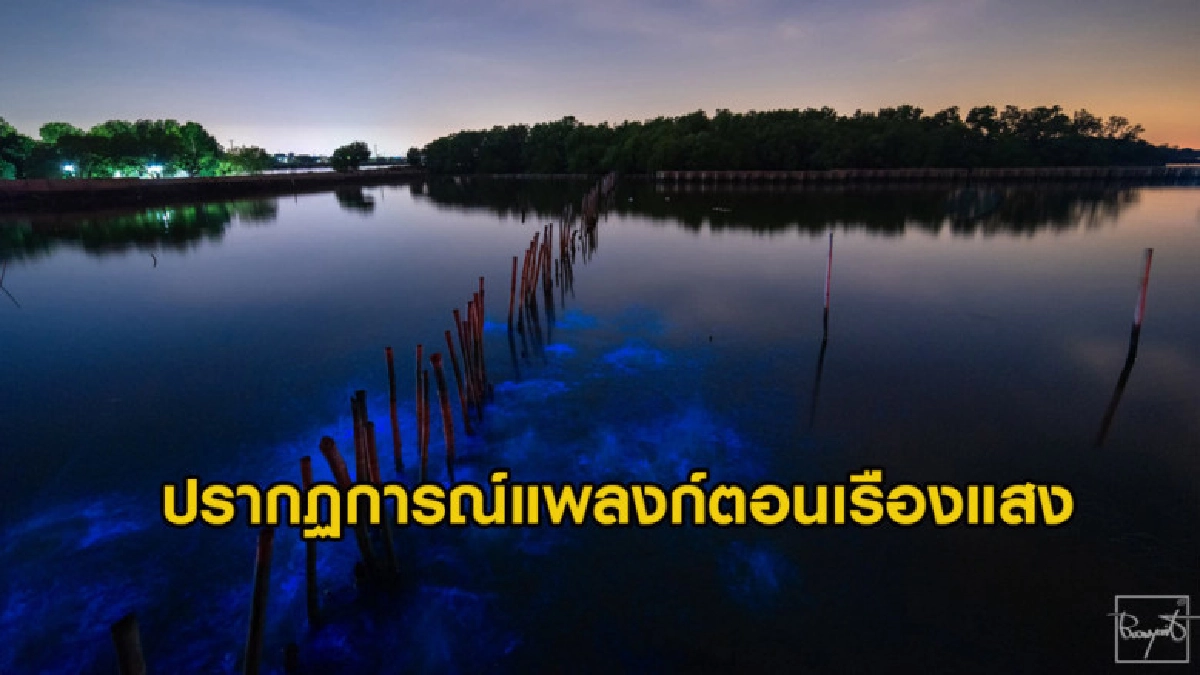อเมซิ่งไทยแลนด์ ปรากฏการณ์ที่หาดูได้ใกล้ๆ กรุงเทพฯ อเมซิ่งไทยแลนด์ ปรากฏการณ์ที่หาดูได้ใกล้ๆ กรุงเทพฯ