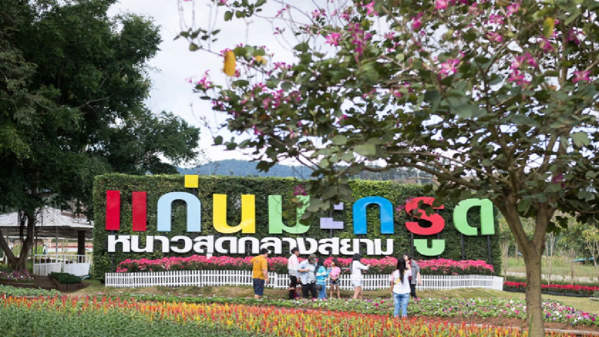 เทศกาลท่องเที่ยวแก่นมะกรูด อุทัยธานี หนาวสุดกลางสยาม