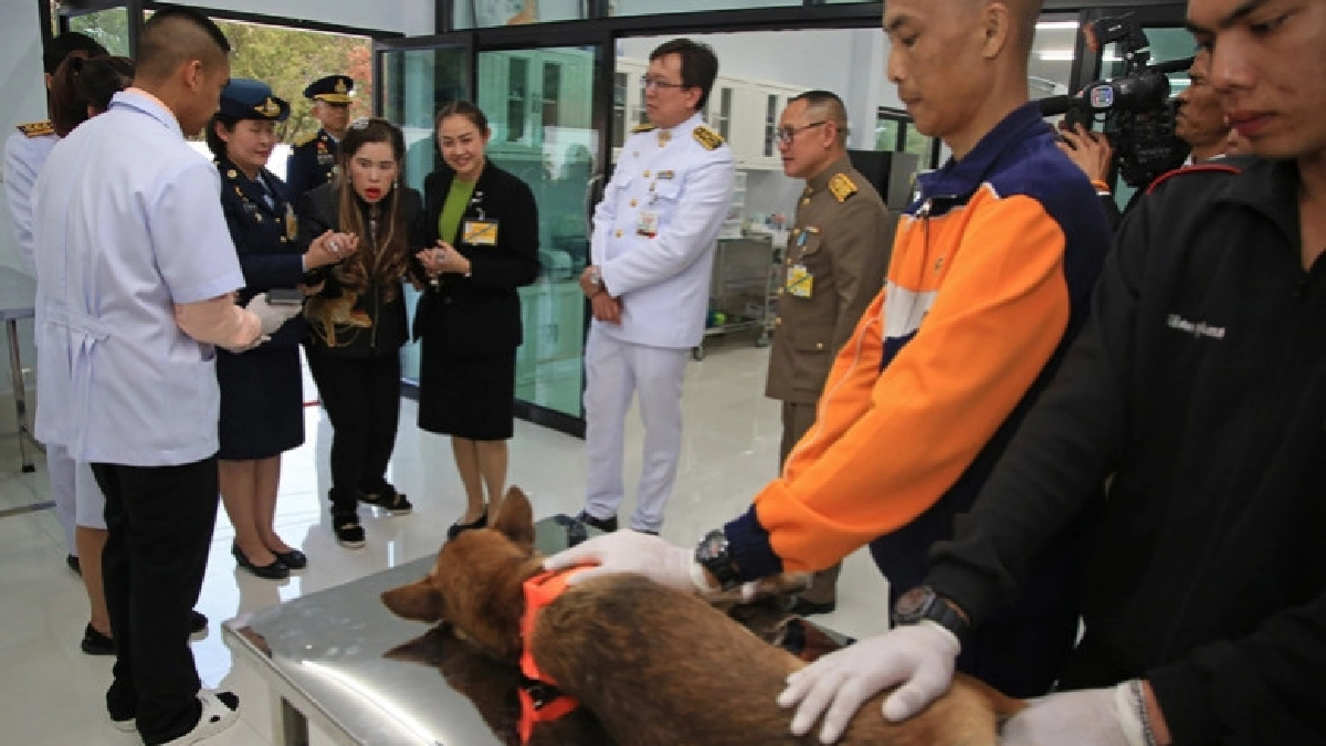 ฟ้าหญิงจุฬาภรณ์ฯ ทรงเปิดศูนย์พักพิงสุนัขจรจัด 