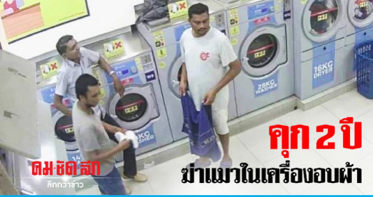 ศาลมาเลเซียสั่งจำคุก 2 ปีมือโยนแมวใส่เครื่องอบผ้าตายอนาถ