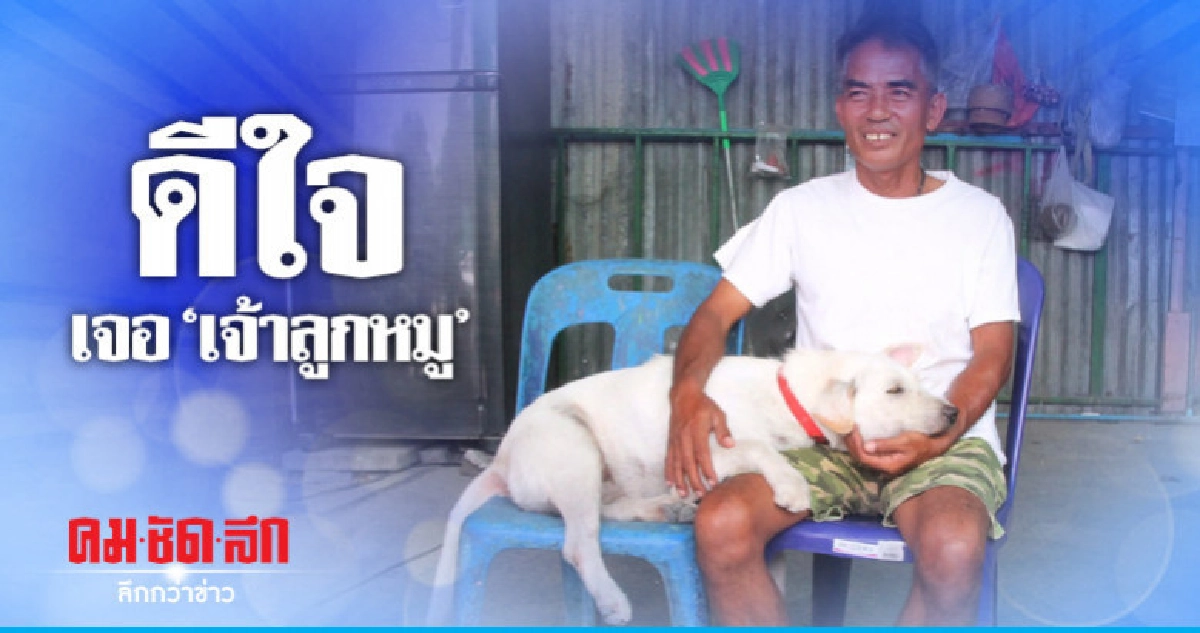 เตรียมจัดงานเลี้ยงต้อนรับ "เจ้าลูกหมู"