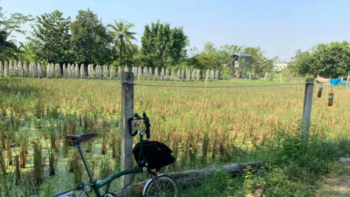 ไลฟ์สไตล์ผู้บริโภคกับวิถีเกษตรไทย ตอน2 ไลฟ์สไตล์ผู้บริโภคกับวิถีเกษตรไทย ตอน2