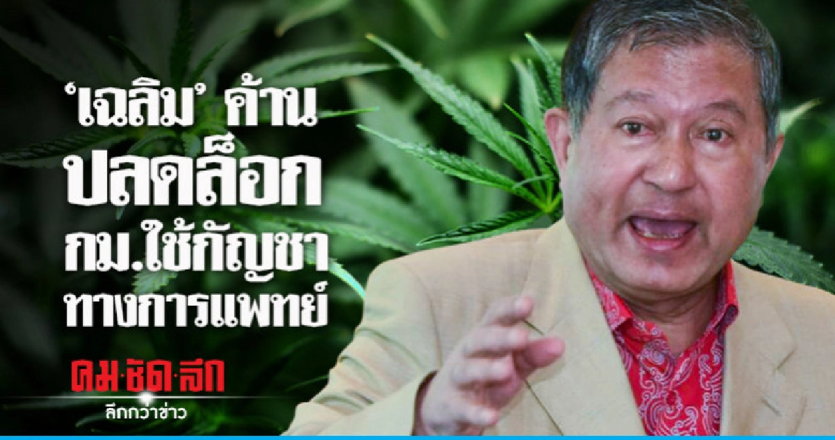 "เฉลิม" ค้าน ปลดล็อก กม.ใช้กัญชาทางการแพทย์ "เฉลิม" ค้าน ปลดล็อก กม.ใช้กัญชาทางการแพทย์