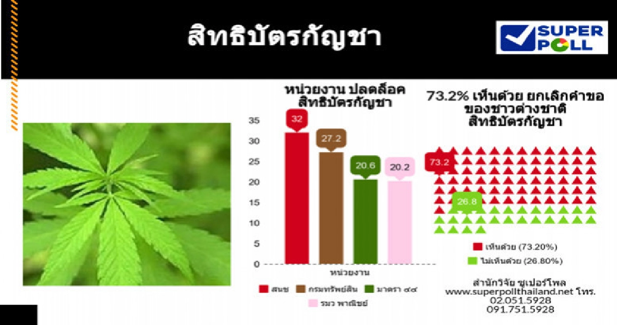 "โพล"ชี้ควรยกเลิกคำขอคุ้มครองกัญชาต่างชาติ "โพล"ชี้ควรยกเลิกคำขอคุ้มครองกัญชาต่างชาติ