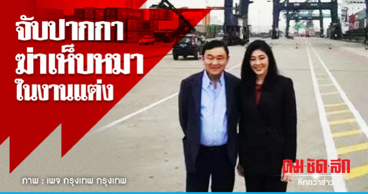 จับปากกาฆ่าเห็บหมาในงานแต่ง