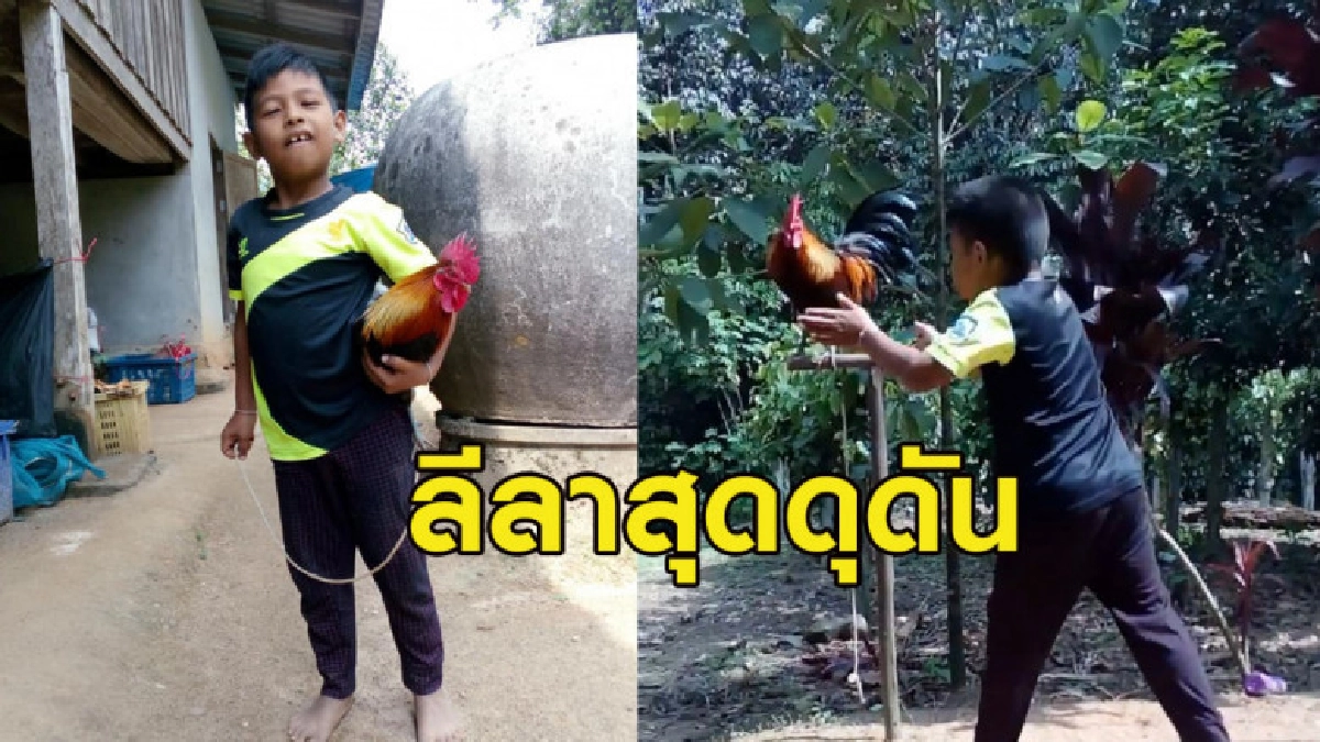 ชาวเน็ตชอบใจ หนูน้อยแหลงใต้โชว์ลีลาเชียร์ประชันเสียงไก่แจ้ ชาวเน็ตชอบใจ หนูน้อยแหลงใต้โชว์ลีลาเชียร์ประชันเสียงไก่แจ้