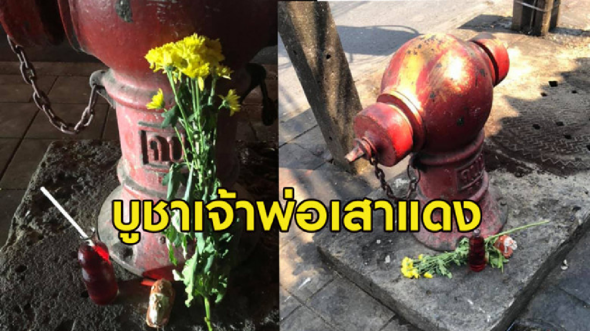 หนุ่มผุดไอเดียสุดล้ำแก้ปัญหาคนมักง่ายทิ้งขยะไม่เป็นที่ หนุ่มผุดไอเดียสุดล้ำแก้ปัญหาคนมักง่ายทิ้งขยะไม่เป็นที่