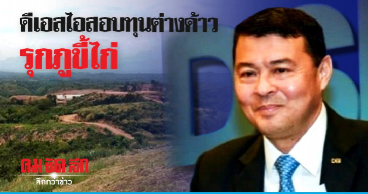 ดีเอสไอเร่งขยายสอบทุนต่างด้าว รุกภูขี้ไก่