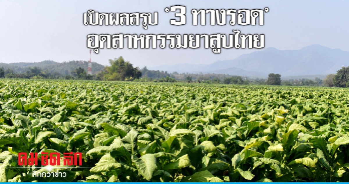 เปิดผลสรุป"3ทางรอด"อุตสาหกรรมยาสูบไทย เปิดผลสรุป"3ทางรอด"อุตสาหกรรมยาสูบไทย