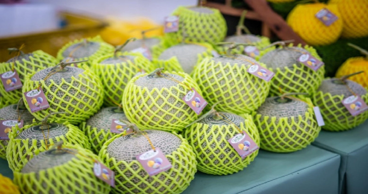 ผุดมินิอ.ต.ก.เปิดตลาดเกษตรต่างประเทศ ผุดมินิอ.ต.ก.เปิดตลาดเกษตรต่างประเทศ