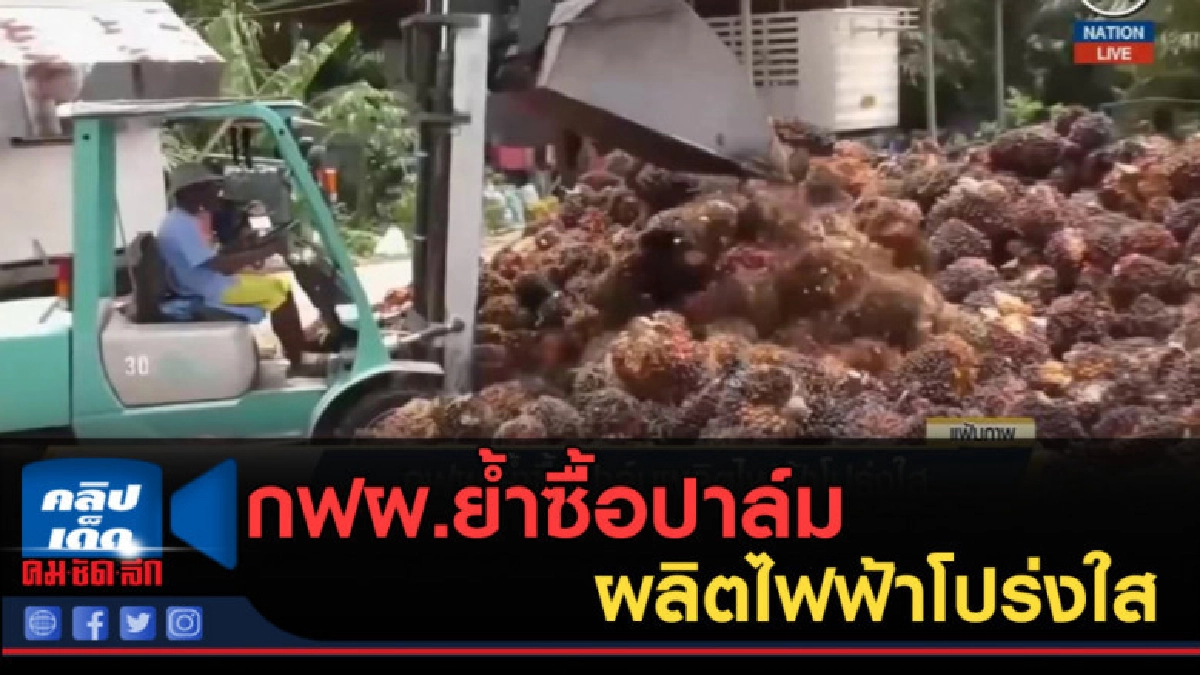 (คลิปข่าว) กฟผ.ย้ำซื้อปาล์มผลิตไฟฟ้าโปร่งใส (คลิปข่าว) กฟผ.ย้ำซื้อปาล์มผลิตไฟฟ้าโปร่งใส