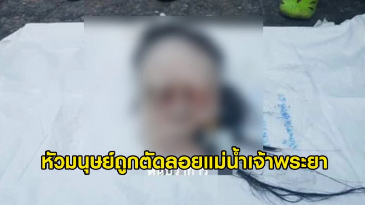 ผวา!! พบหัวมนุษย์ถูกตัดลอยแม่น้ำเจ้าพระยา