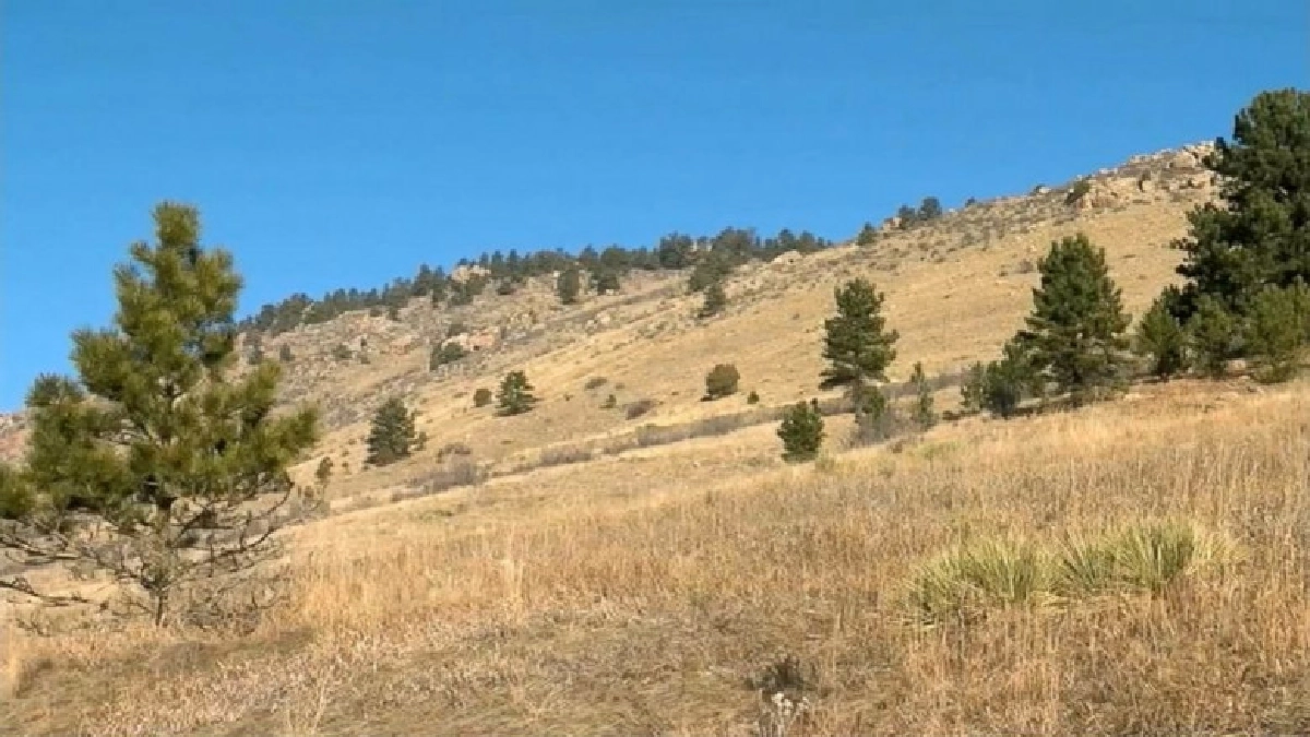 นักวิ่งเทรลมะกันปลิดชีพสิงโตภูเขามือเปล่าหลังถูกลอบทำร้าย