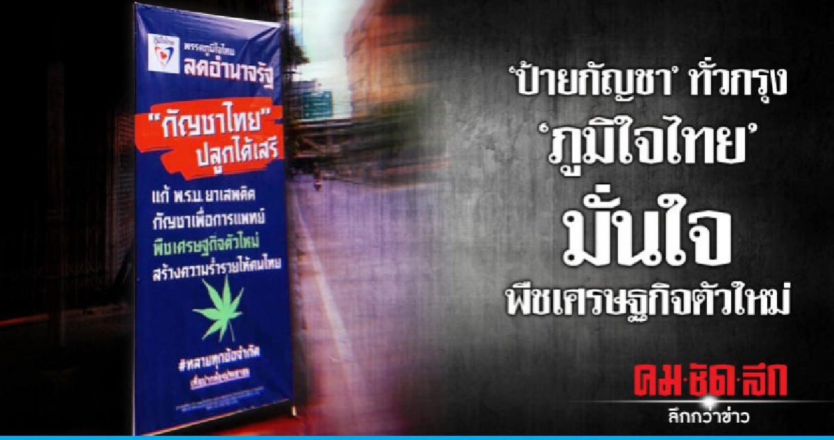 ภูมิใจไทย ปักป้ายกัญชาทั่วกรุง มั่นใจพืชเศรษฐกิจตัวใหม่