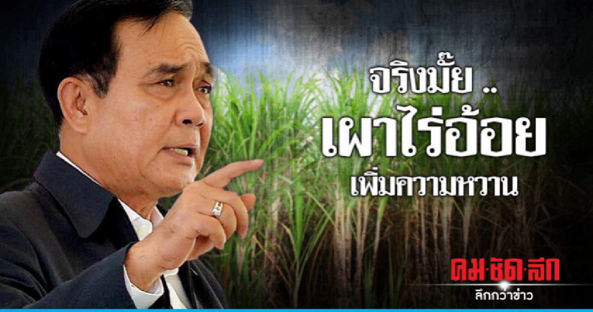 "บิ๊กตู่" สั่งเช็ก "เผาไร่อ้อย" เพิ่มความหวาน "บิ๊กตู่" สั่งเช็ก "เผาไร่อ้อย" เพิ่มความหวาน