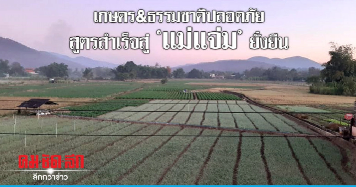 เกษตร&ธรรมชาติปลอดภัย สูตรสำเร็จสู่"แม่แจ่ม"ยั่งยืน เกษตร&ธรรมชาติปลอดภัย สูตรสำเร็จสู่"แม่แจ่ม"ยั่งยืน