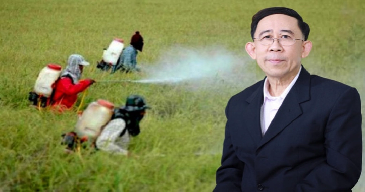 "มิ่งขวัญ"ห่วงคนไทยวอนห้ามนำเข้าพาราควอต "มิ่งขวัญ"ห่วงคนไทยวอนห้ามนำเข้าพาราควอต