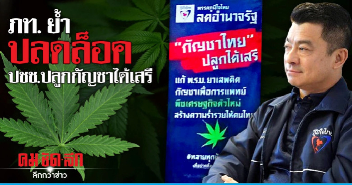 ภท.โวนโยบายปลูกกัญชาเสรี กระแสตอบรับดี 