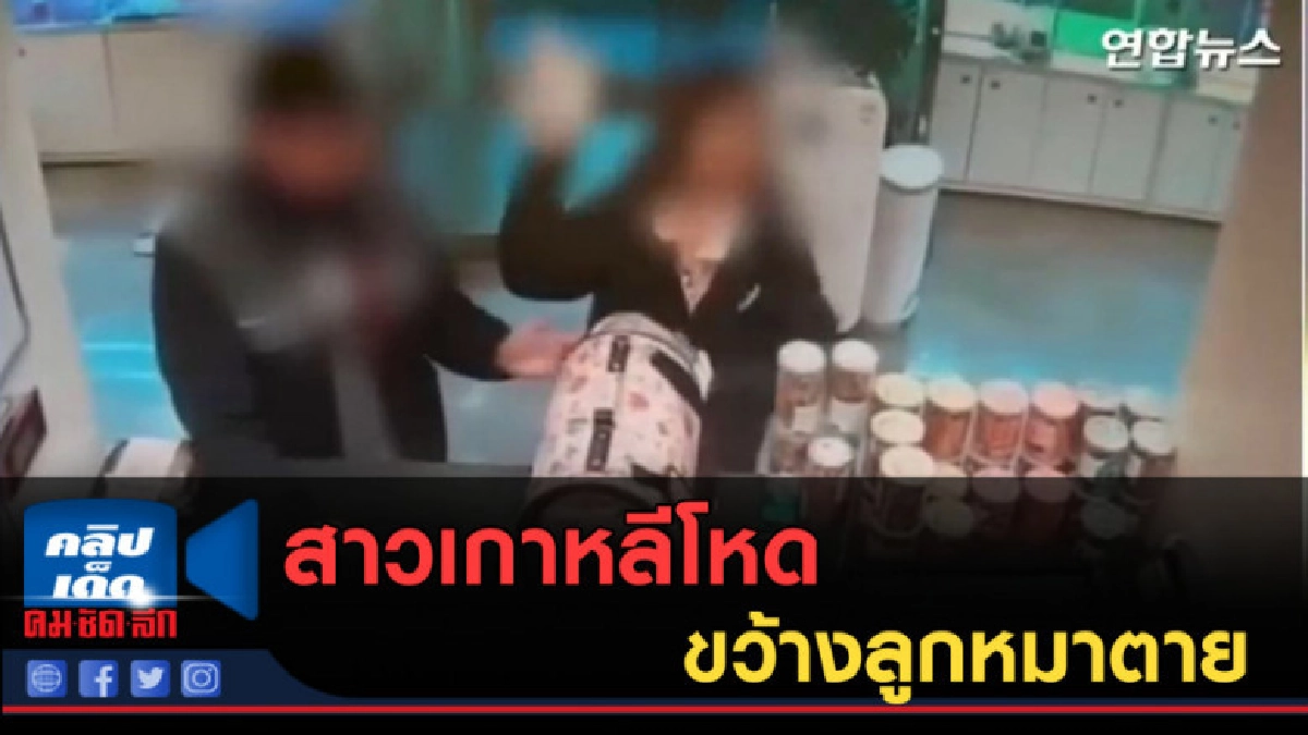 (คลิปข่าว) สาวเกาหลีโหด ขว้างลูกหมาตาย (คลิปข่าว) สาวเกาหลีโหด ขว้างลูกหมาตาย