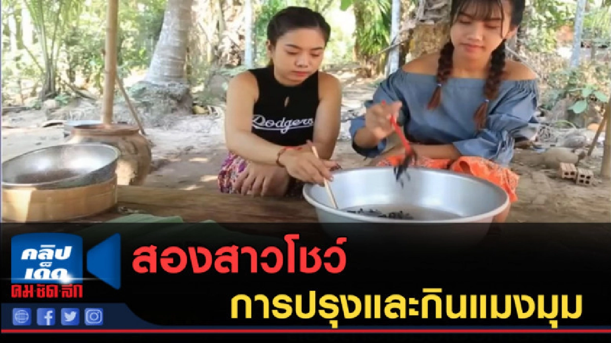 (คลิปข่าว) สองสาวโชว์การปรุงและกินแมงมุม (คลิปข่าว) สองสาวโชว์การปรุงและกินแมงมุม